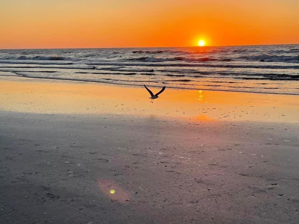 Beach Glass - Island Getaway Corpus Christi Luaran gambar